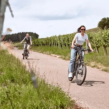 Hotel Mana Lisa Boutiquehotel Lauda-Königshofen