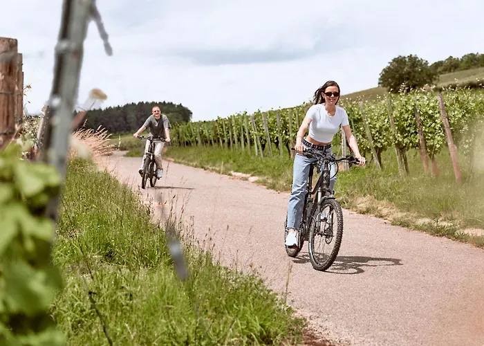 酒店 Mana Lisa Boutiquehotel 劳达·康宁思霍芬